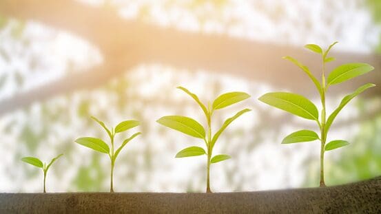 growth